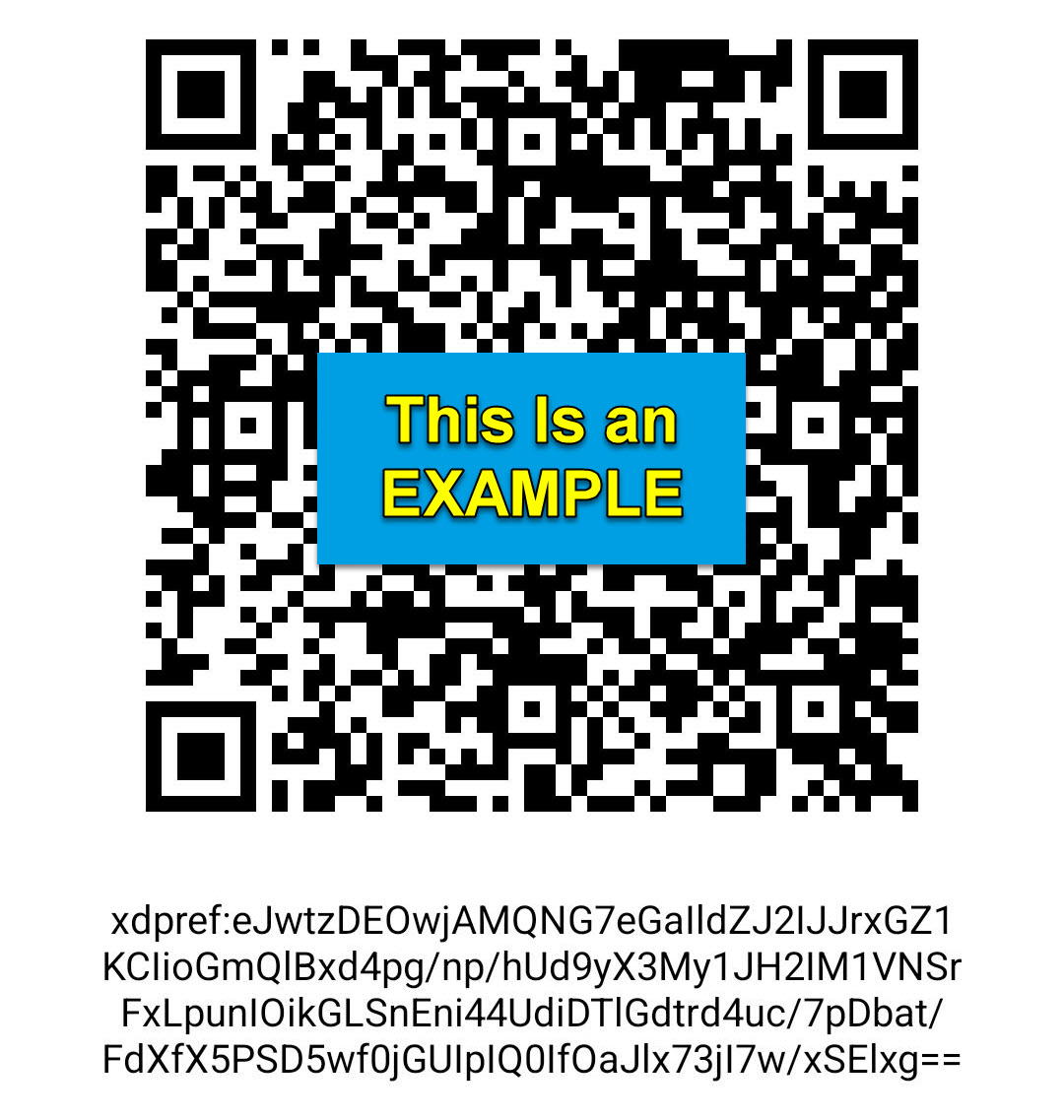 EXAMPLE SCAN CODE